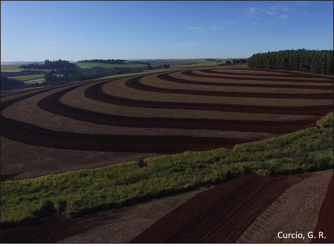 Área com plantio em nível e terraceada.