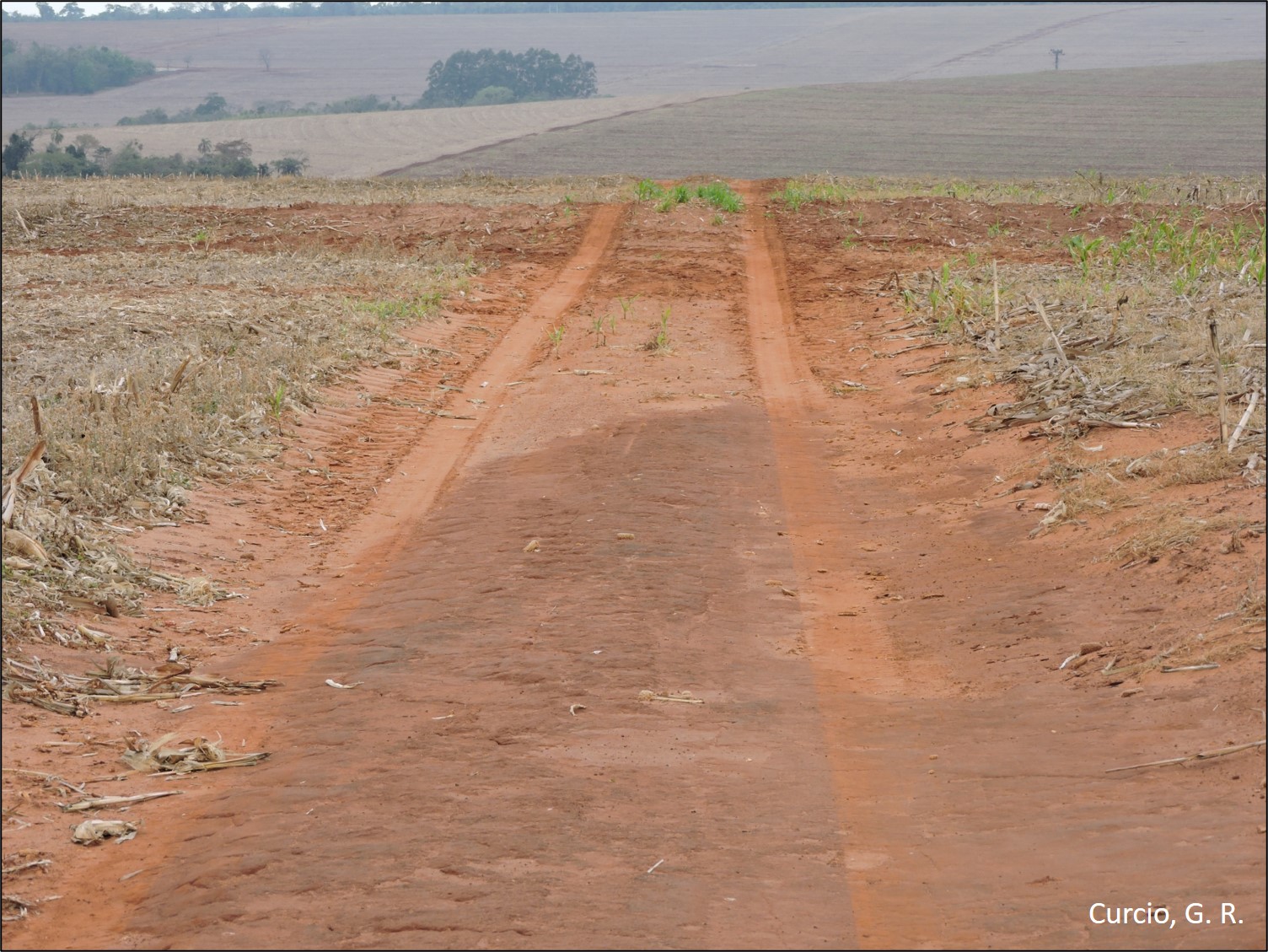 Figura 6 - Acúmulo da fração areia em estrada.