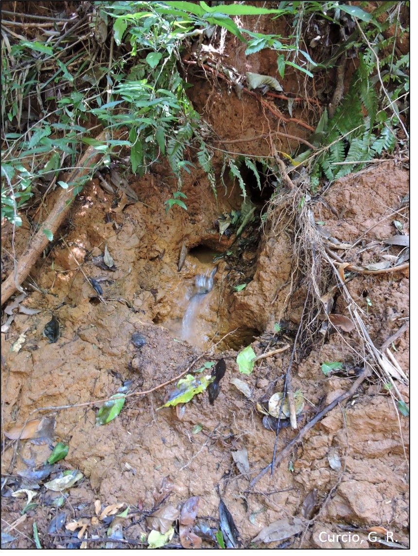 Descarga hidrológica em Neossolo Flúvico.