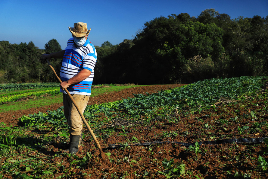 renda agricultor