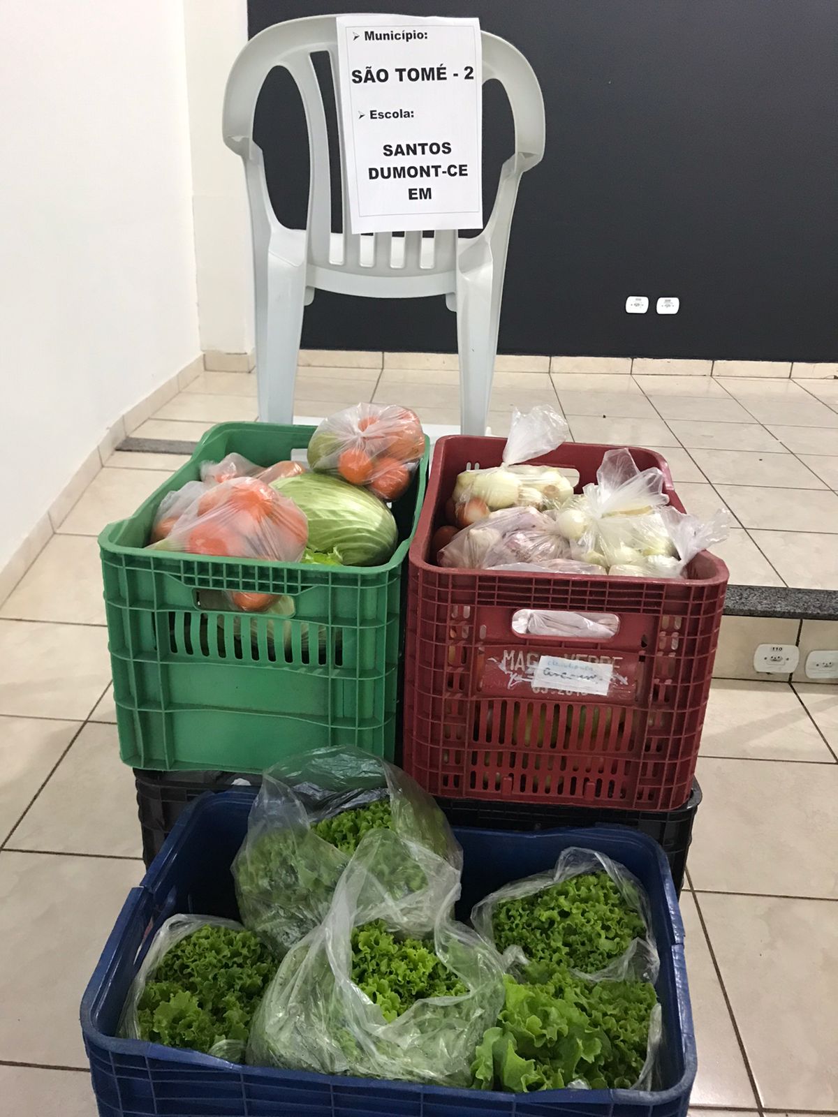 Nova cooperativa regional vai fortalecer agricultura familiar no Noroeste