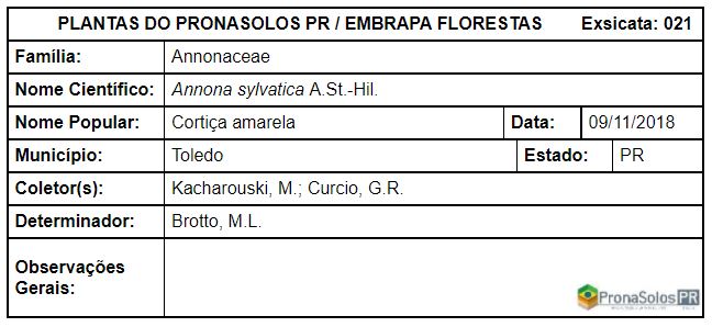 Annona sylvatica A.St.-Hil