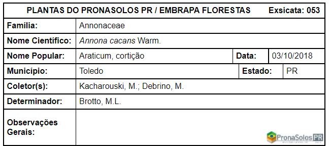 Annona cacans Warm.