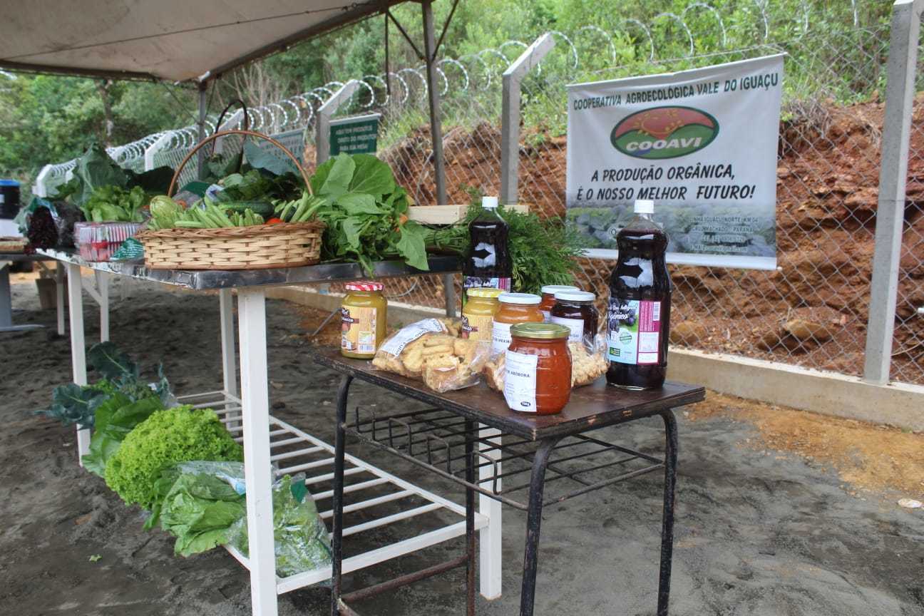 Governo apoia fortalecimento da agroindústria familiar no Sul do Paraná