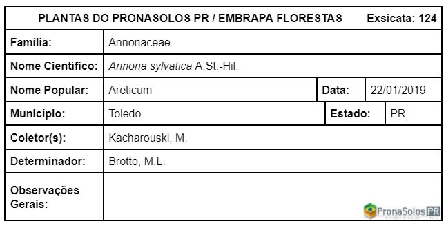 124_Annona sylvatica