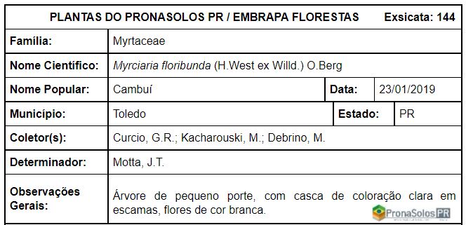 144_Myrciaria floribunda O Berg