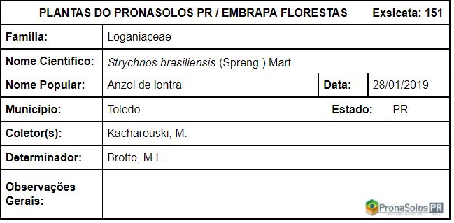 151_Strychnos brasiliensis