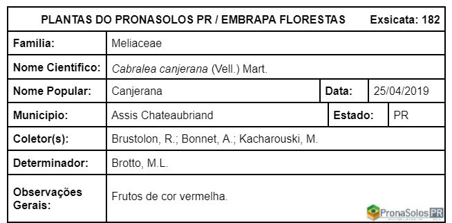 182_Cabralea canjerana