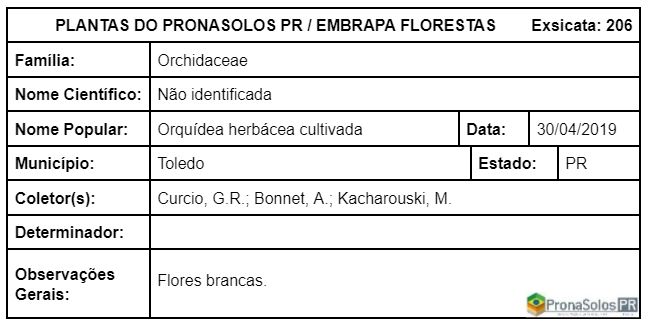 206_Não identificada