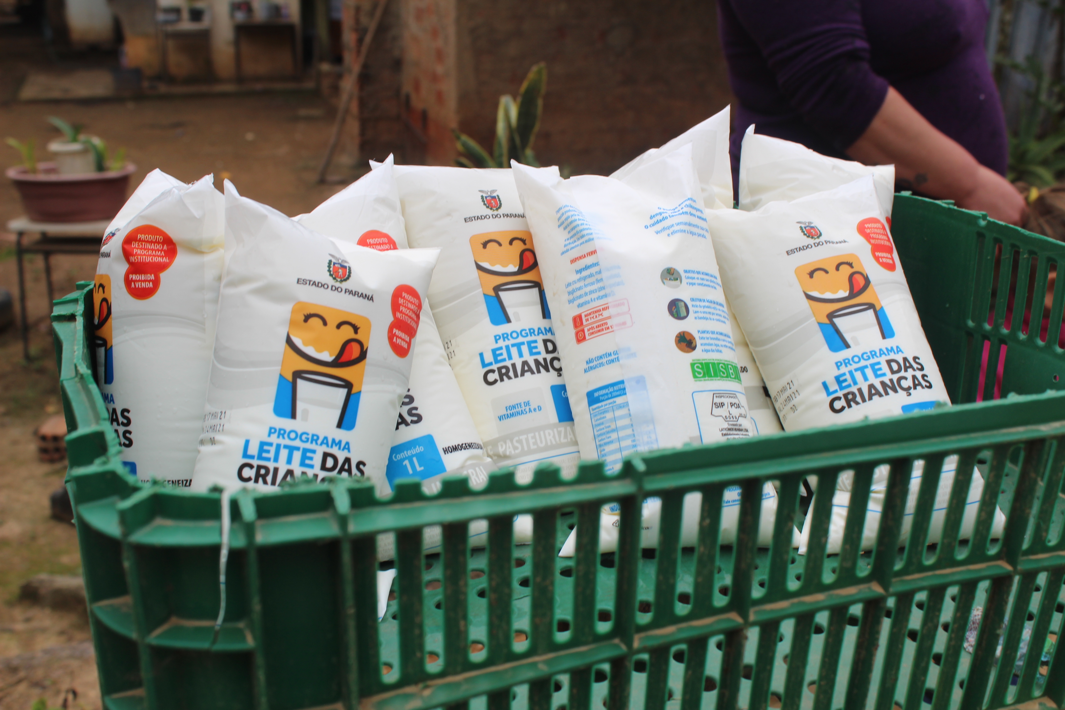 Programa estadual de distribuição de leite leva segurança alimentar ao Vale do Ribeira