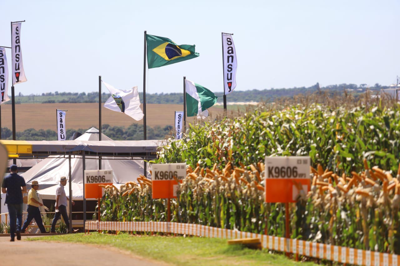 show rural