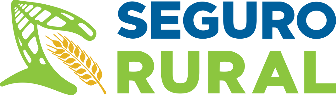 seguro