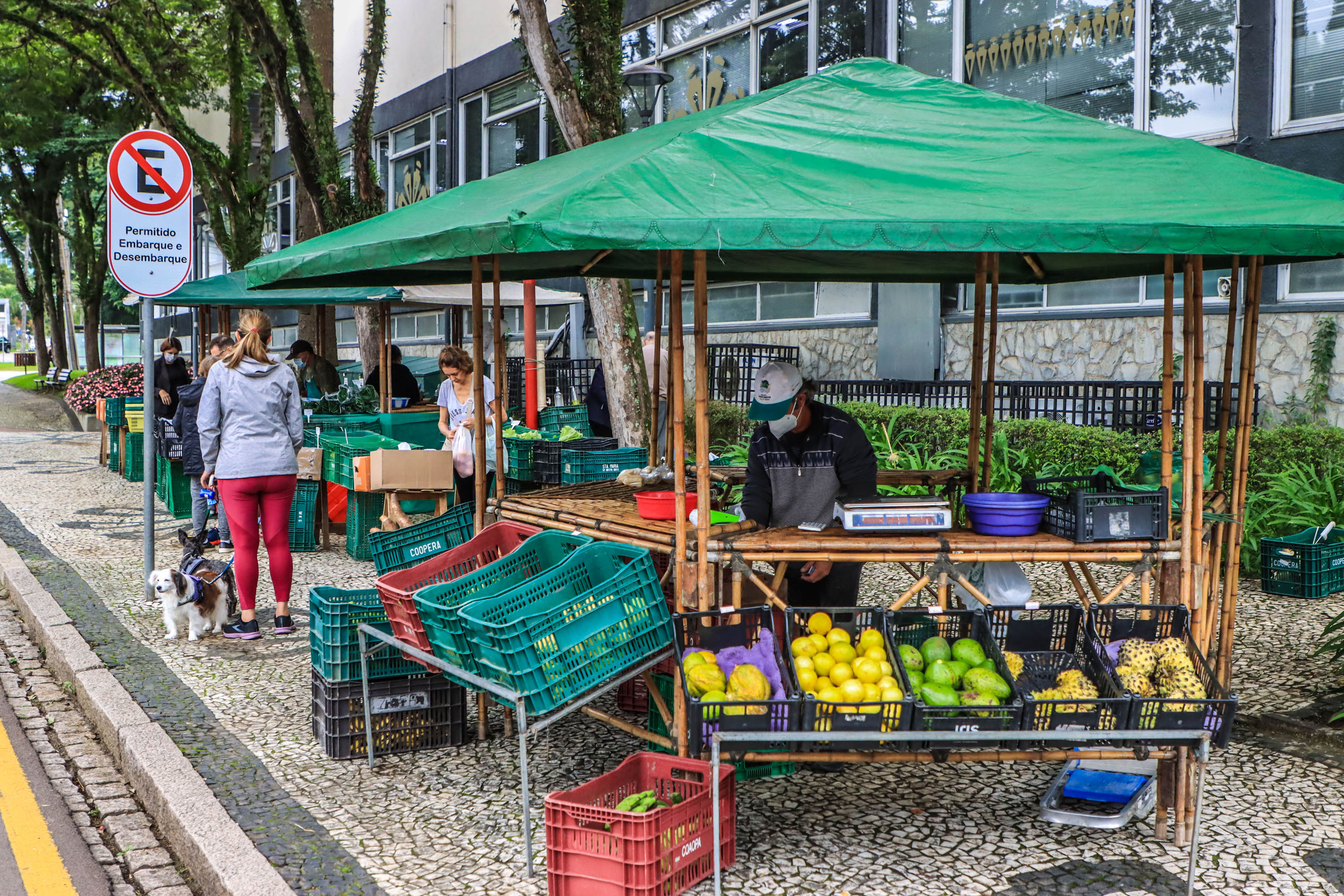 feira orgânicos