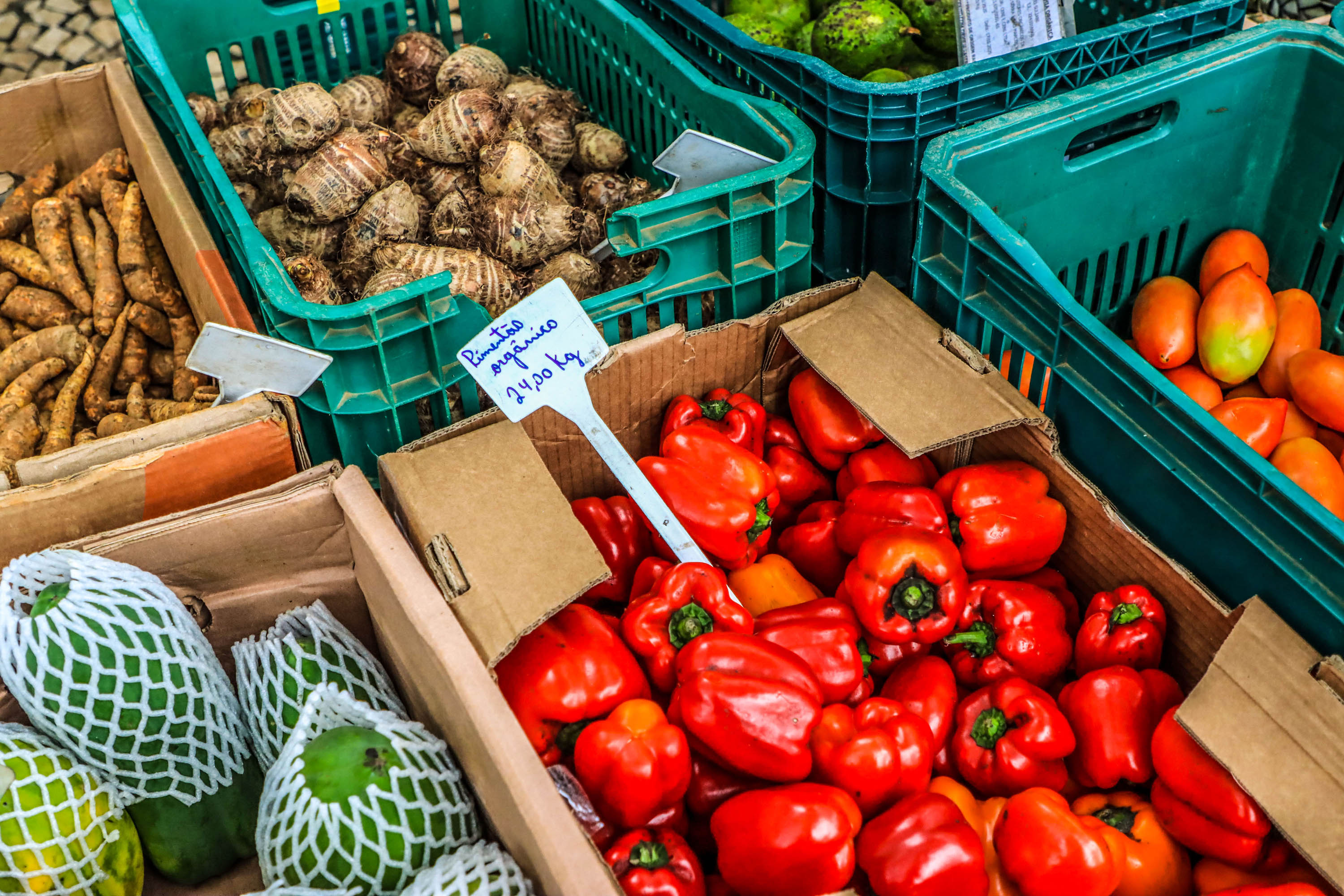 feira orgânicos