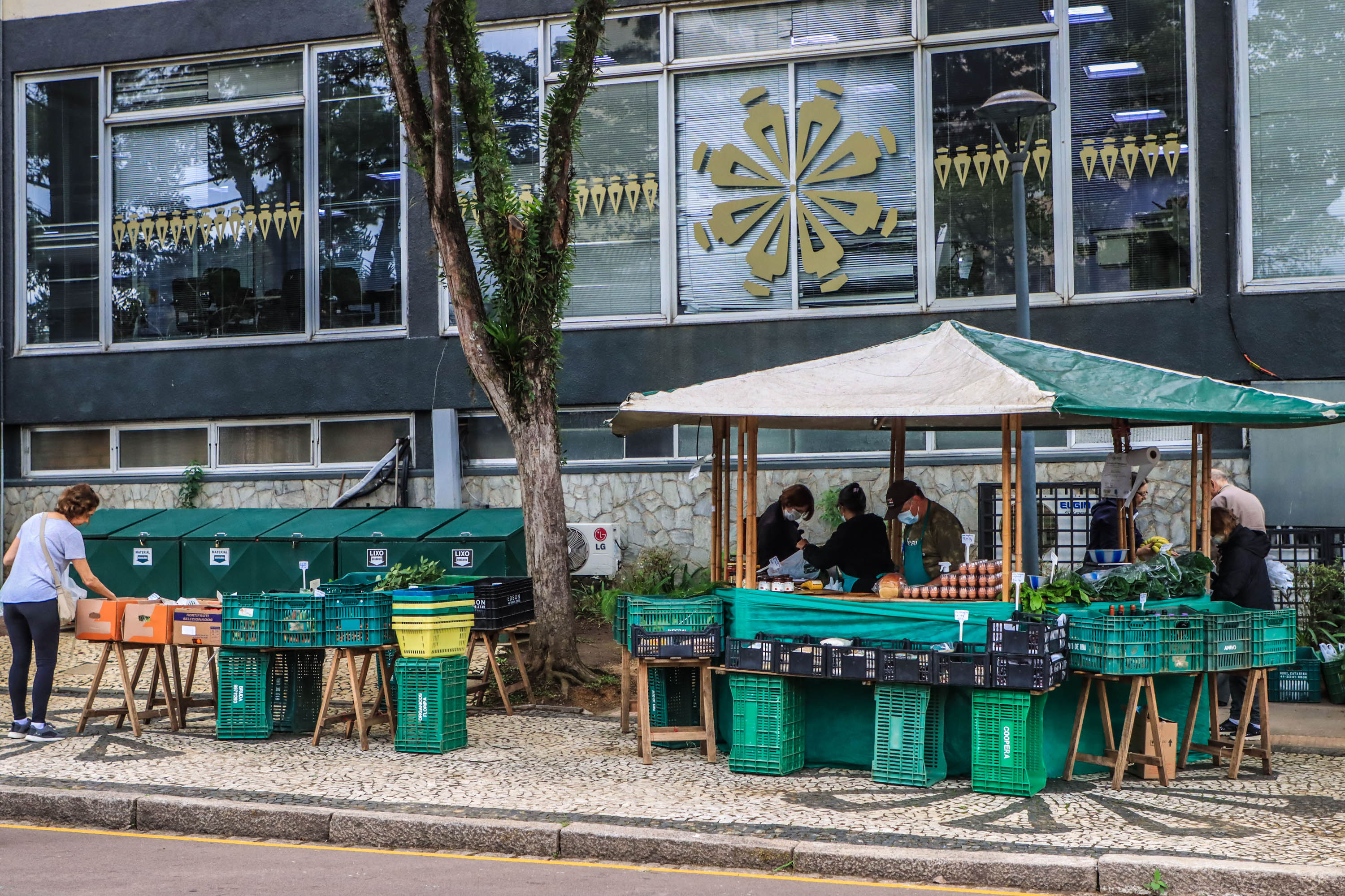 feira orgânicos