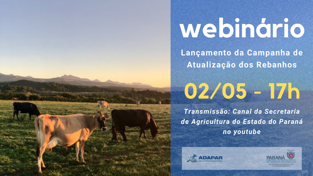 campanha