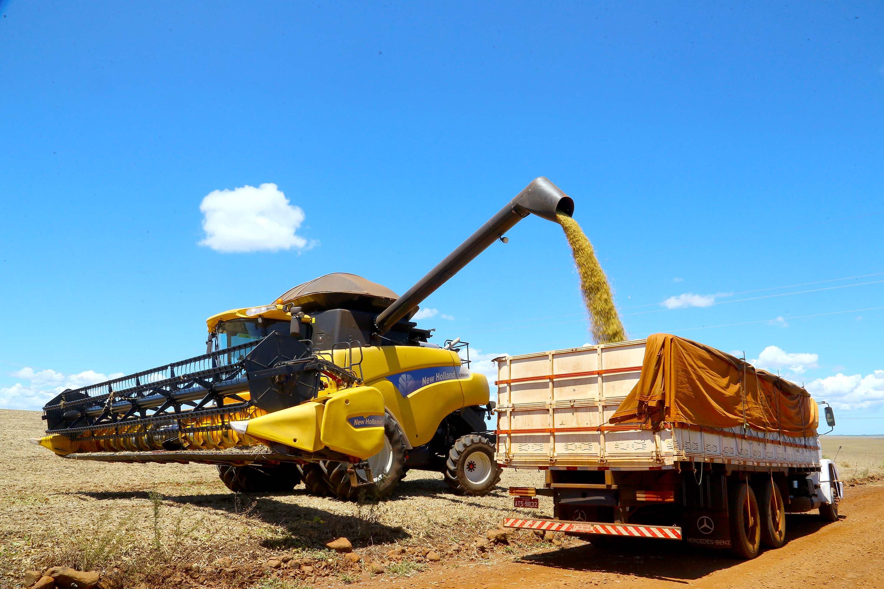 VBP Agropecuário do Paraná cresce 41% em 2021 e alcança R$ 180,4 bilhões