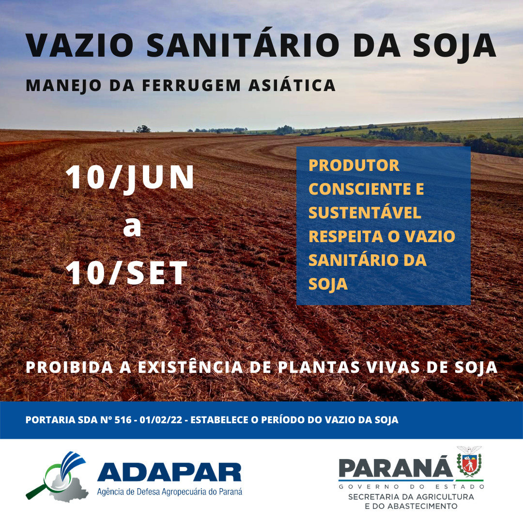 vazio sanitário