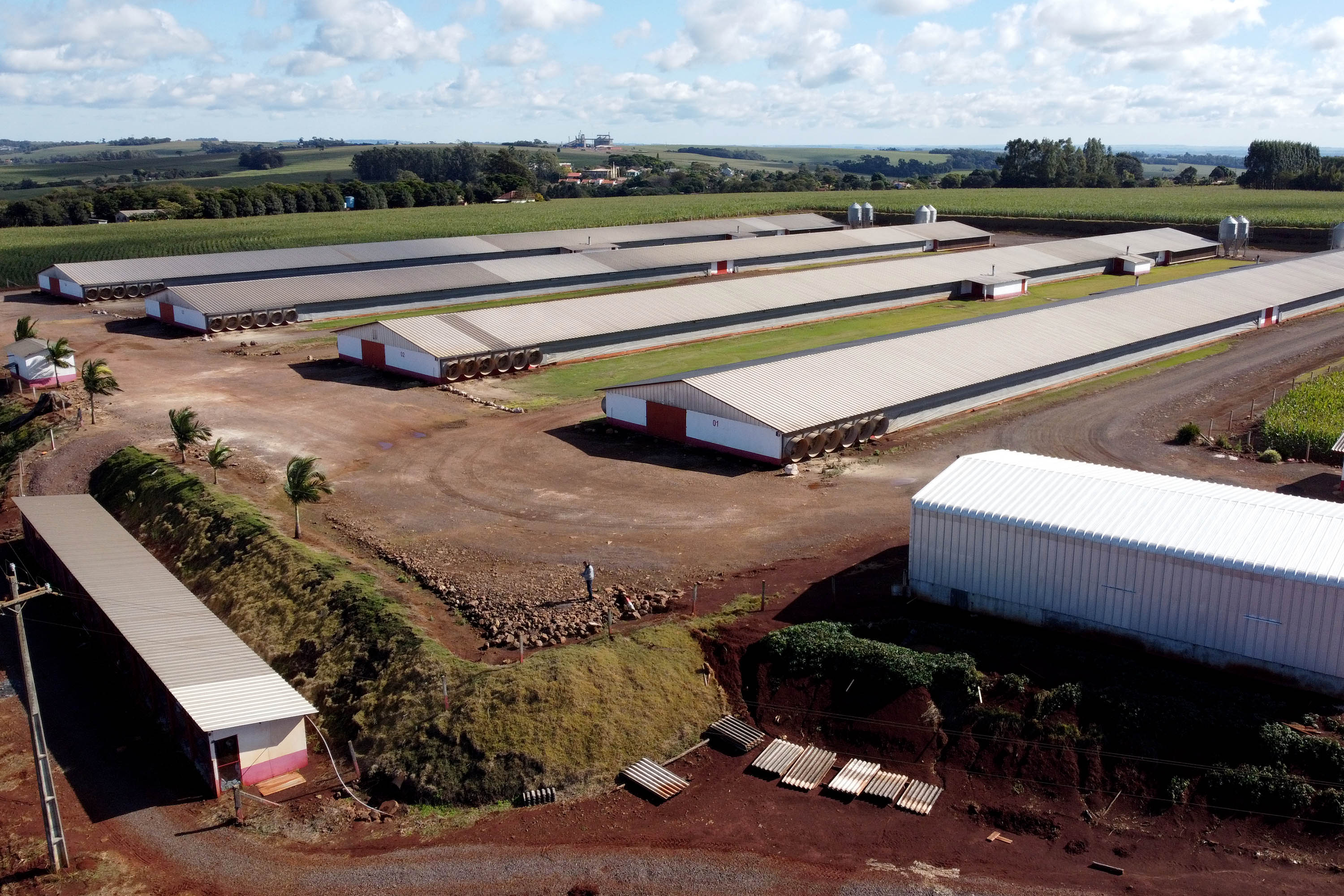 VBP Agropecuário do Paraná cresce 41%  em 2021 e alcança R$ 180,4 bilhões