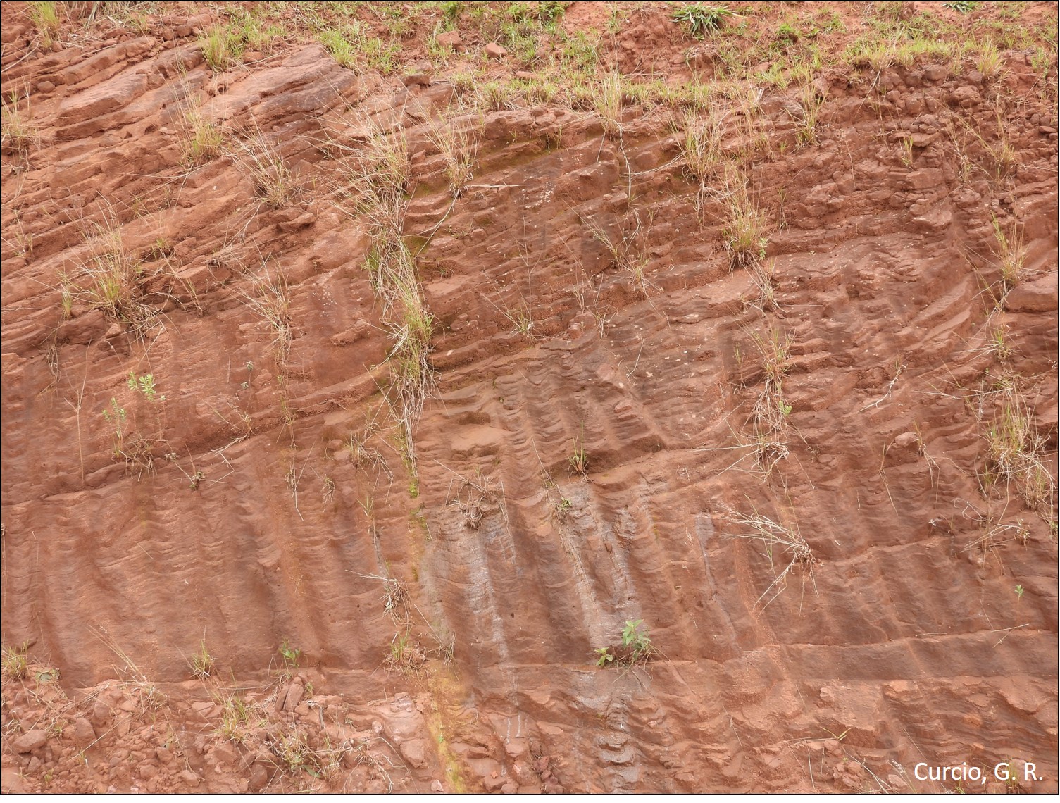 Figura 2 - Estratificação do Arenito Caiuá.