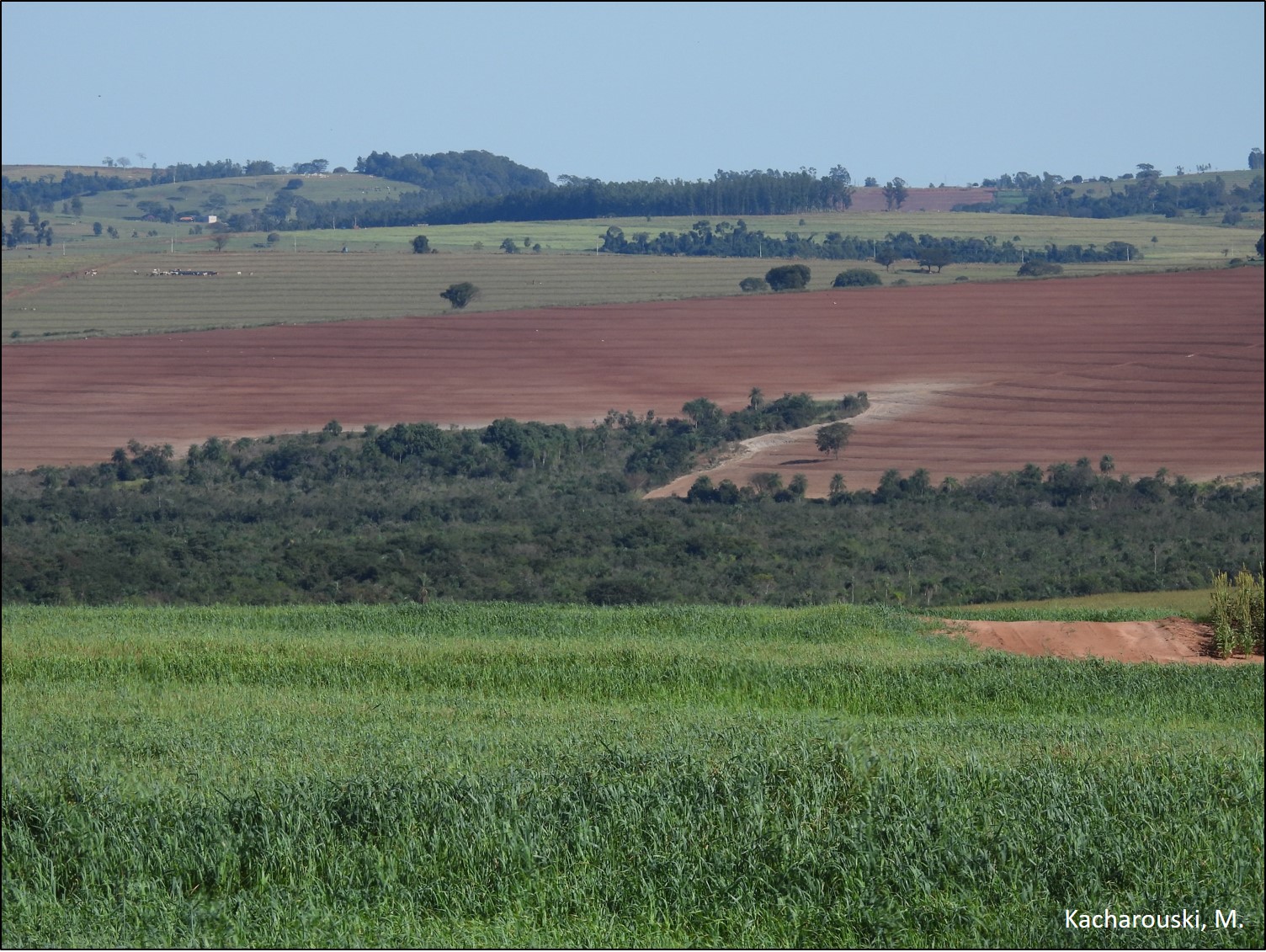 Figura 7 - Cabeceira de drenagem em rampa convexa-côncava-convergente