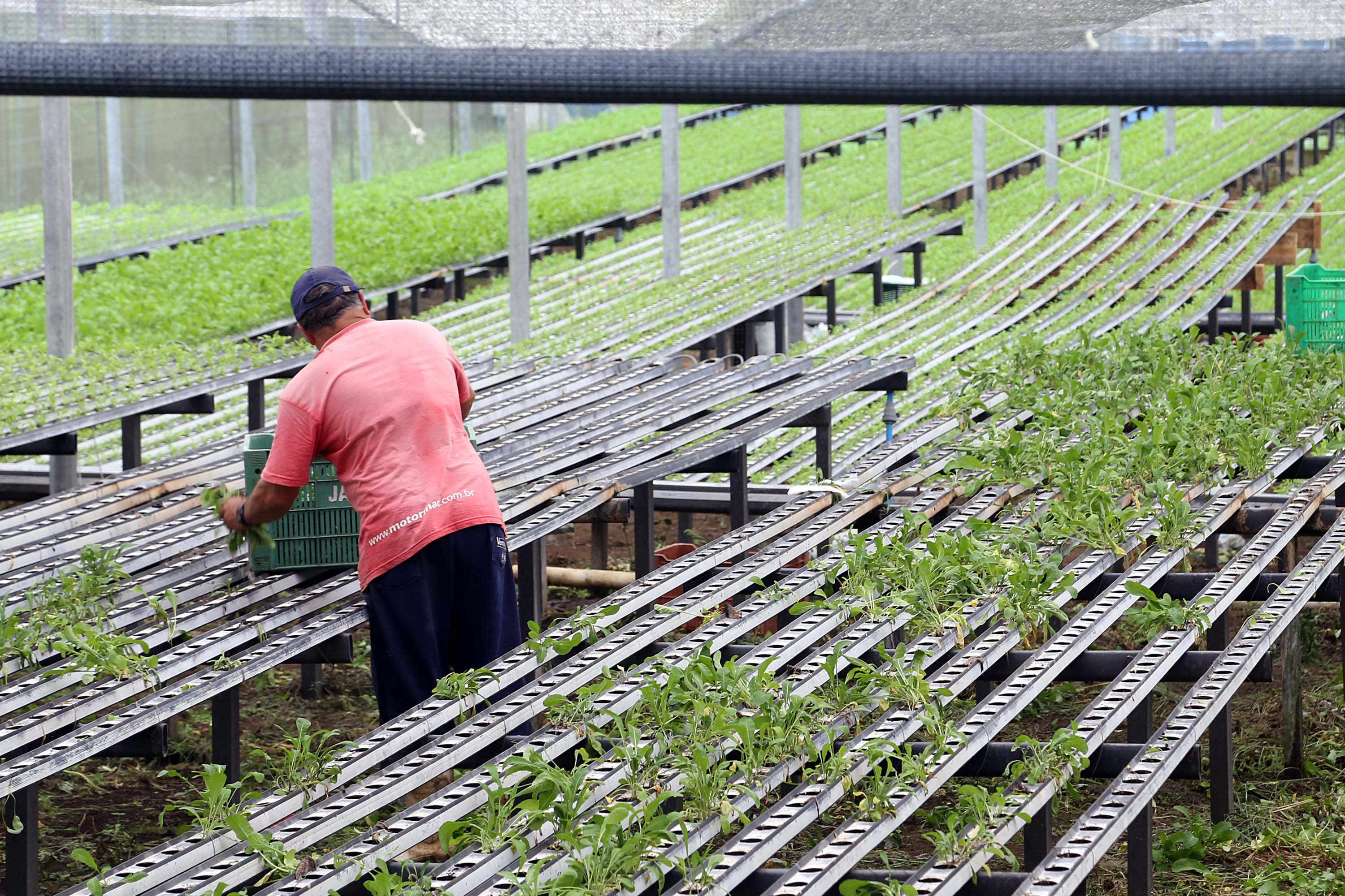 Em 4 anos, programas do Estado liberam mais de R$ 67 milhões para agricultores familiares