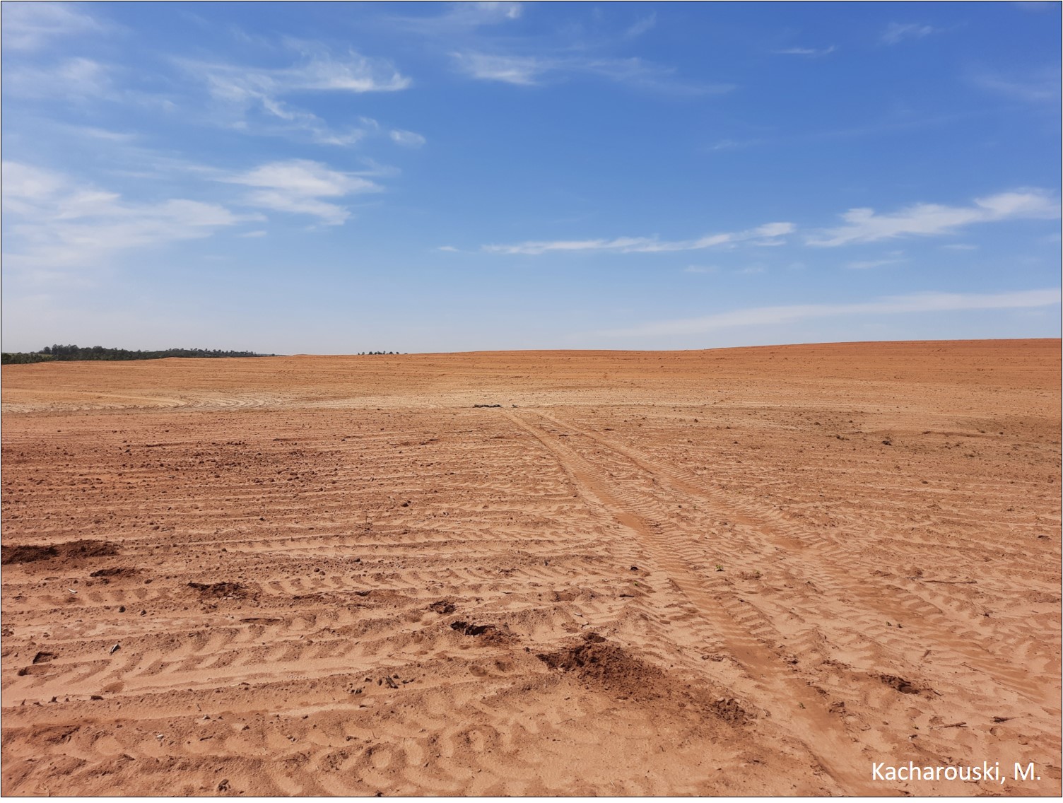 Figura 2 - Predomínio da fração areia em solos derivados do Arenito Caiuá. 