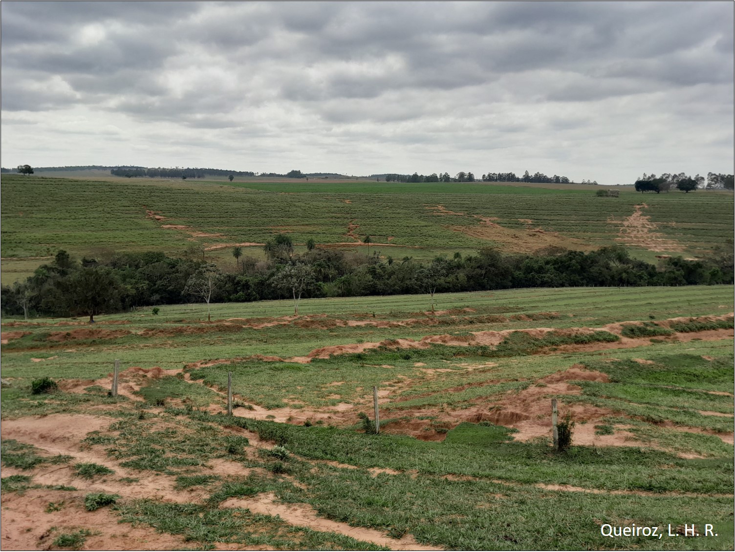 Figura 3 - Processos erosivos em solos de encosta em área do Arenito Caiuá.