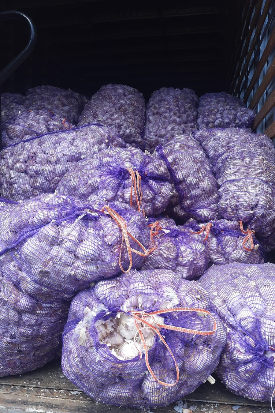 Programa Compra Direta recebe 27 toneladas de alho apreendidas pela Receita Federal