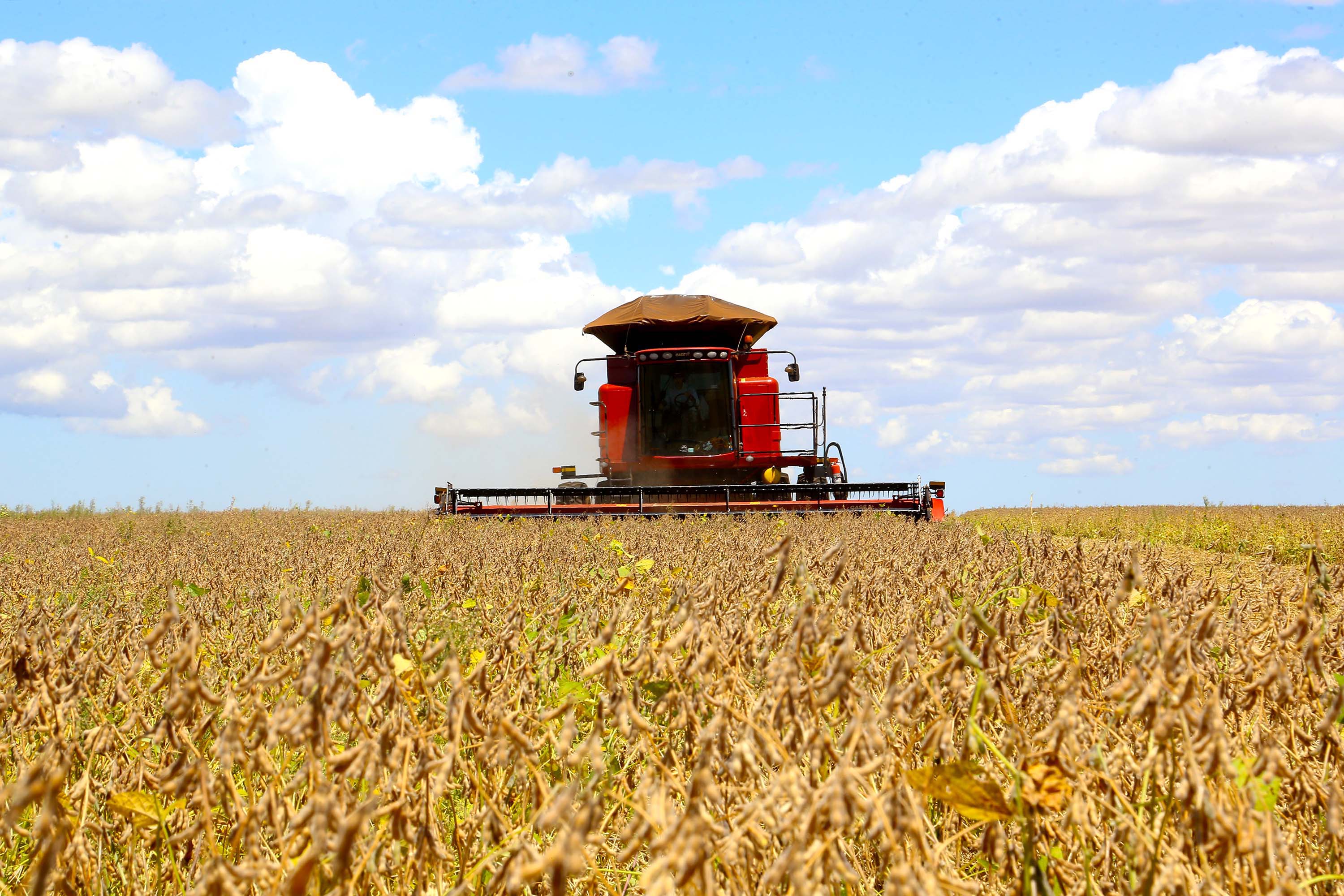 Produção de soja está longe de ser sinônimo de qualidade de vida, Agronegócios