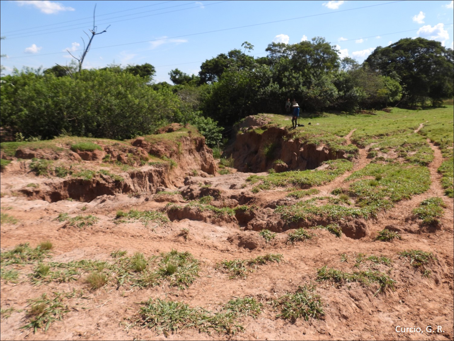 Figura 5 - Voçoroca em cabeceira de drenagem.