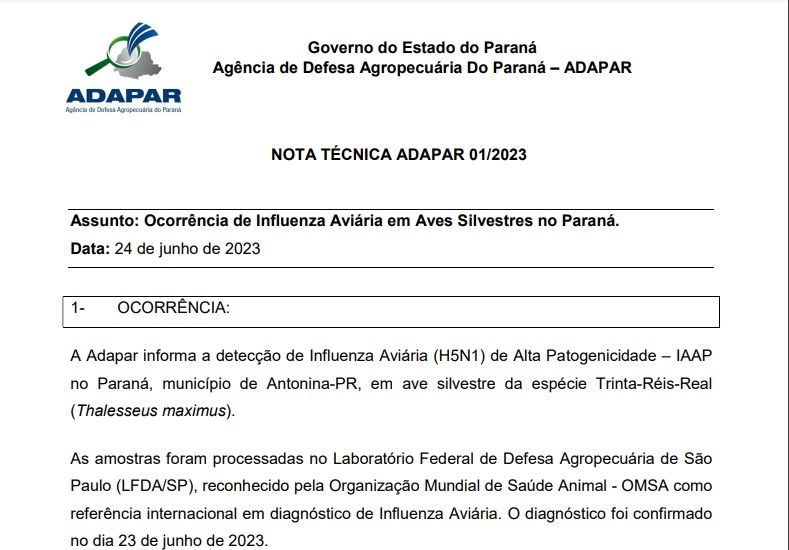 Paraná registra primeiro caso de gripe aviária e Governo reforça protocolo de contenção
