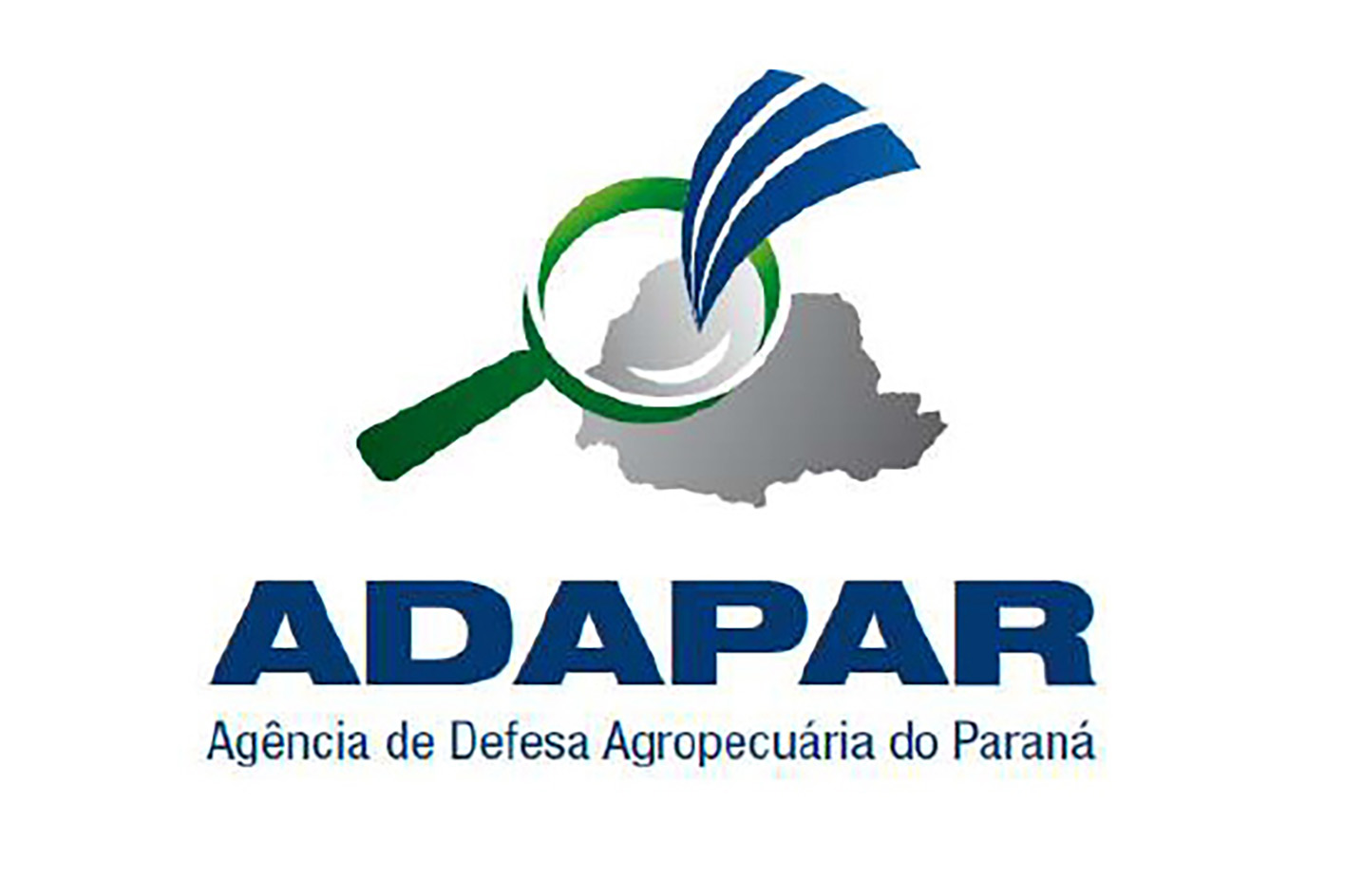 Paraná tem sete casos de influenza aviária; Adapar intensifica vigilância