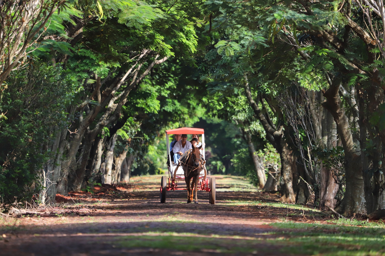 turismo rural