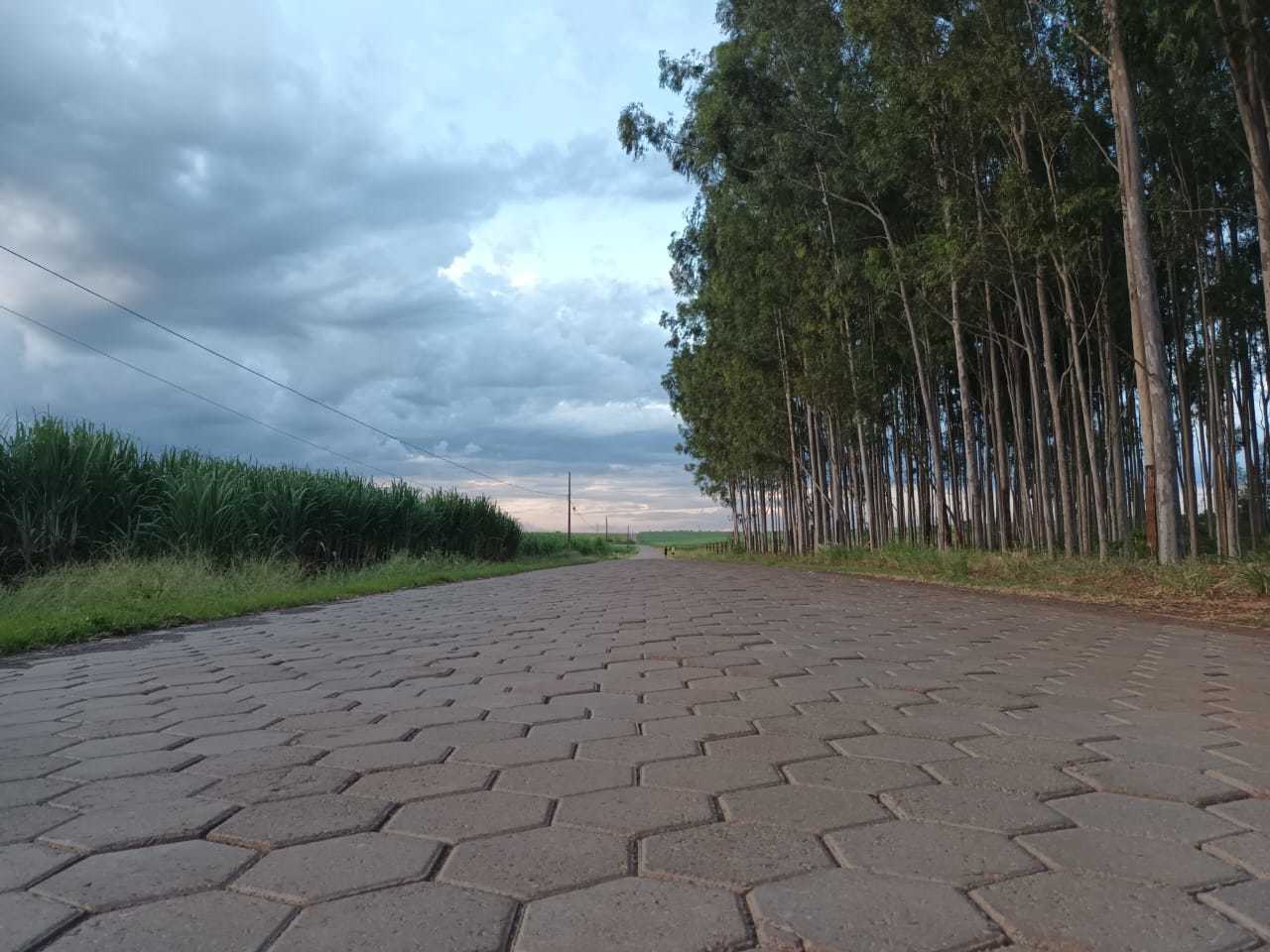 Apoio do Seagri desenvolve estradas rurais e incentiva agroindústrias no Noroeste