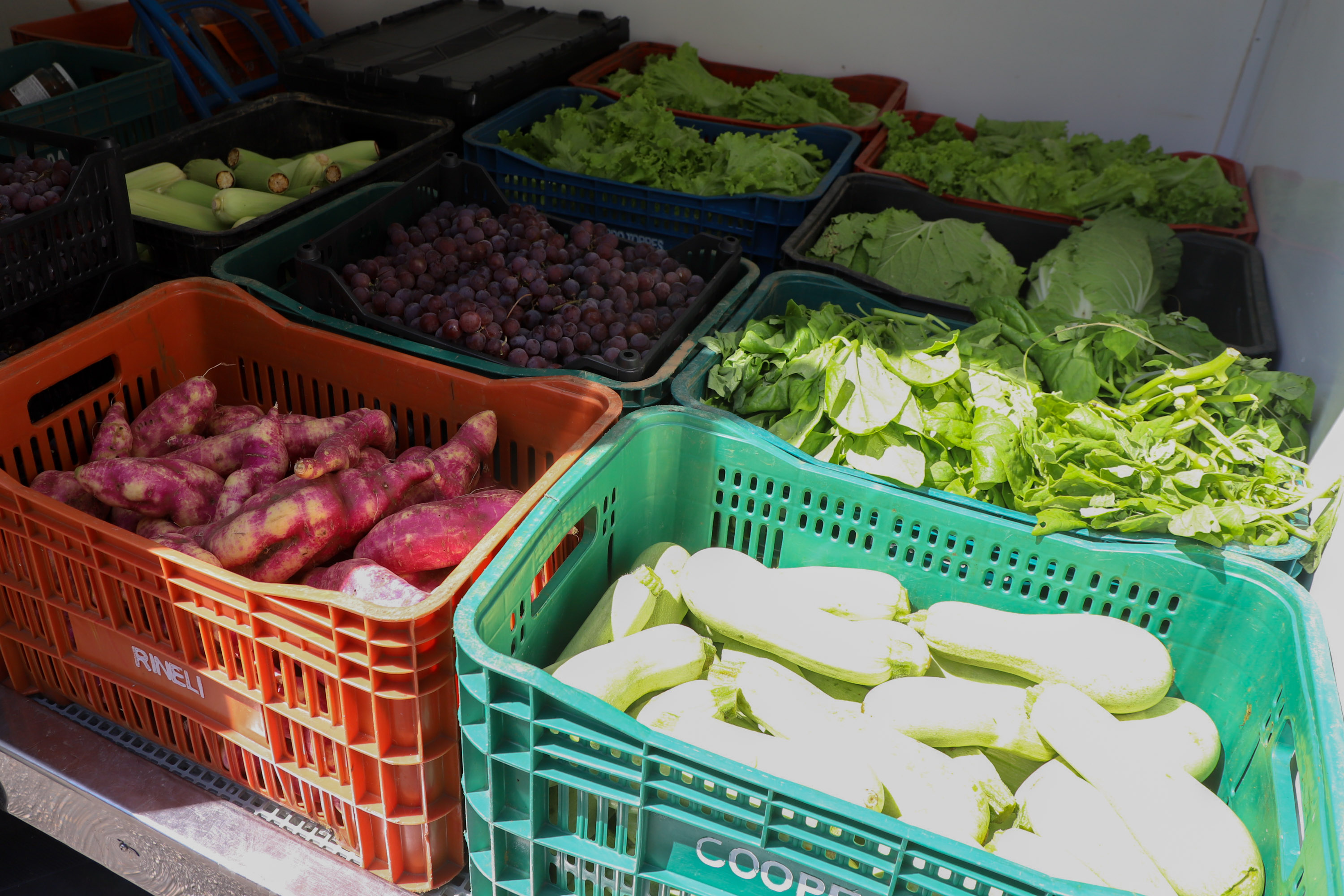 Programa Compra Direta Paraná inicia as primeiras entregas de alimentos
