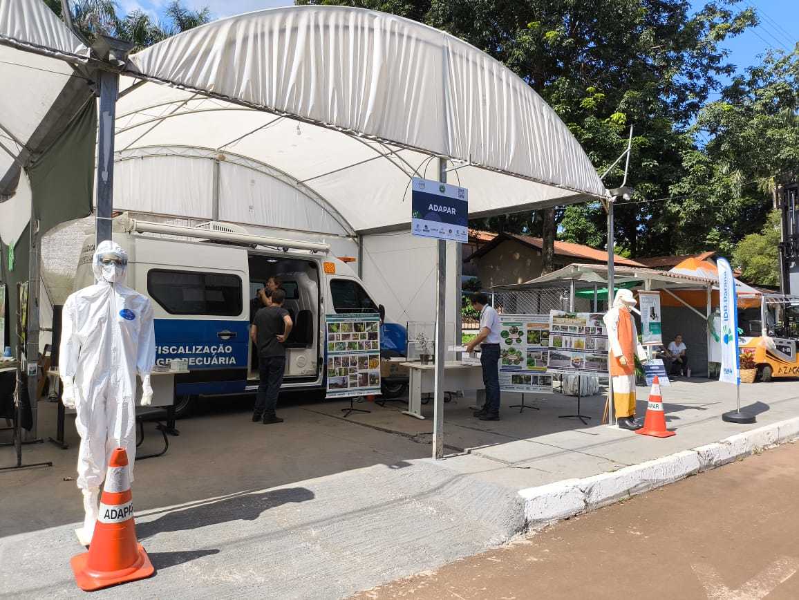 Adapar leva à ExpoLondrina 2024 programação sobre combate ao greening e biosseguridade na avicultura