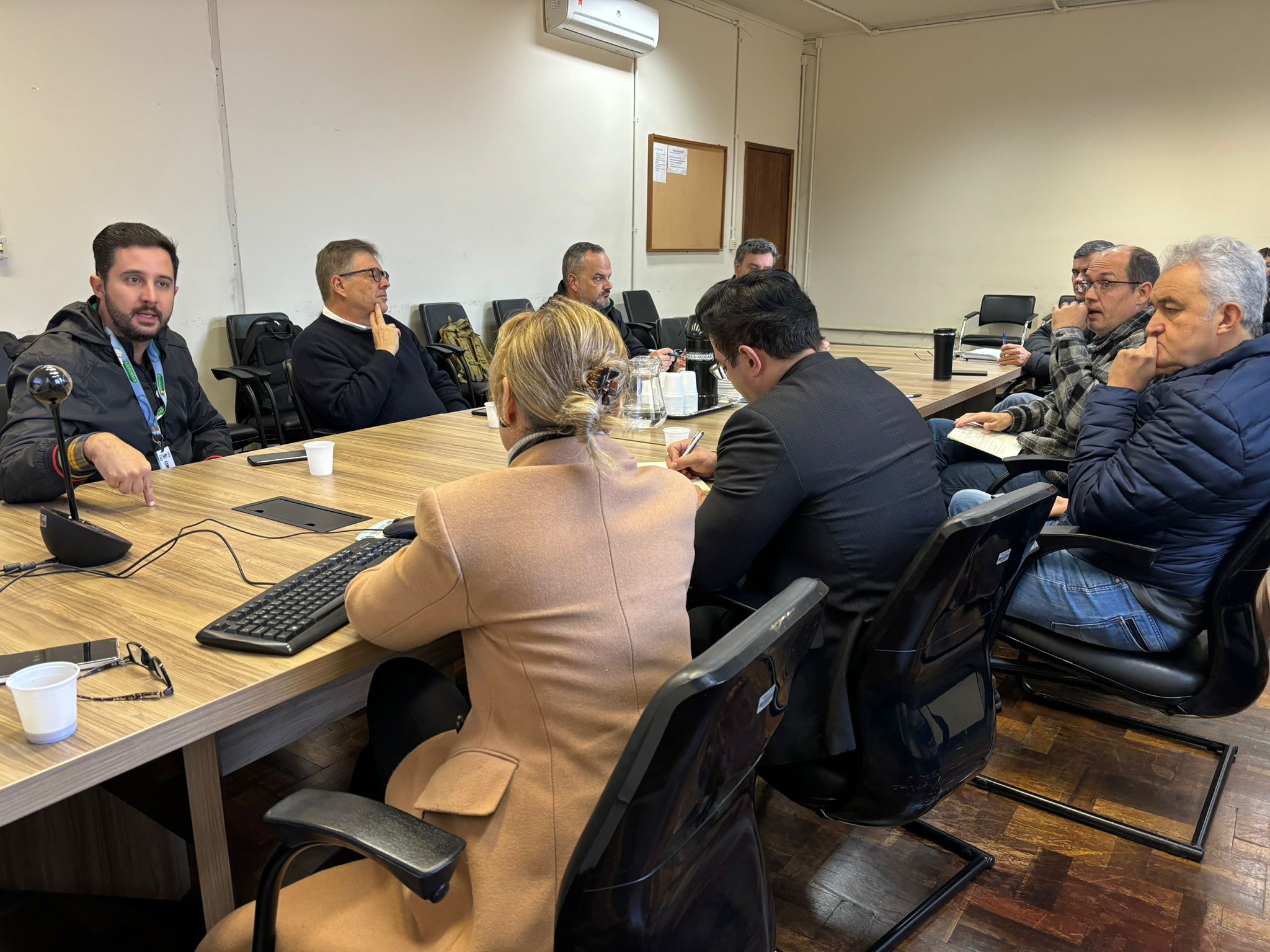 Grupo de Trabalho discute ações para prevenção e monitoramento da nova vespa-da-madeira