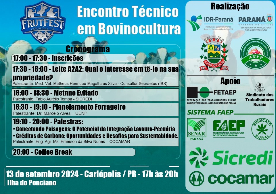 fest