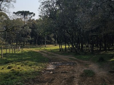 Circuito Caminho das Tropas
