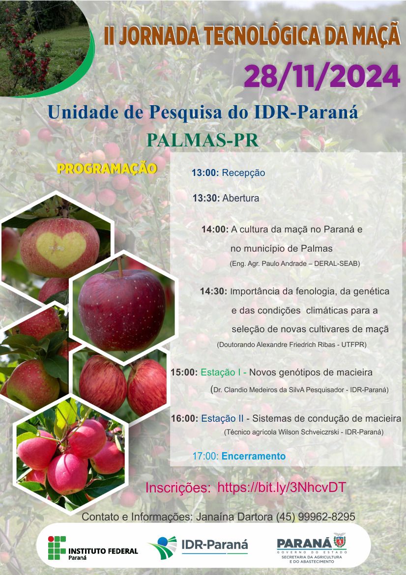maçã