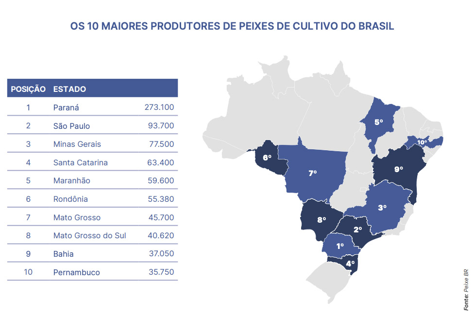 Foto: Anuário Peixe BR