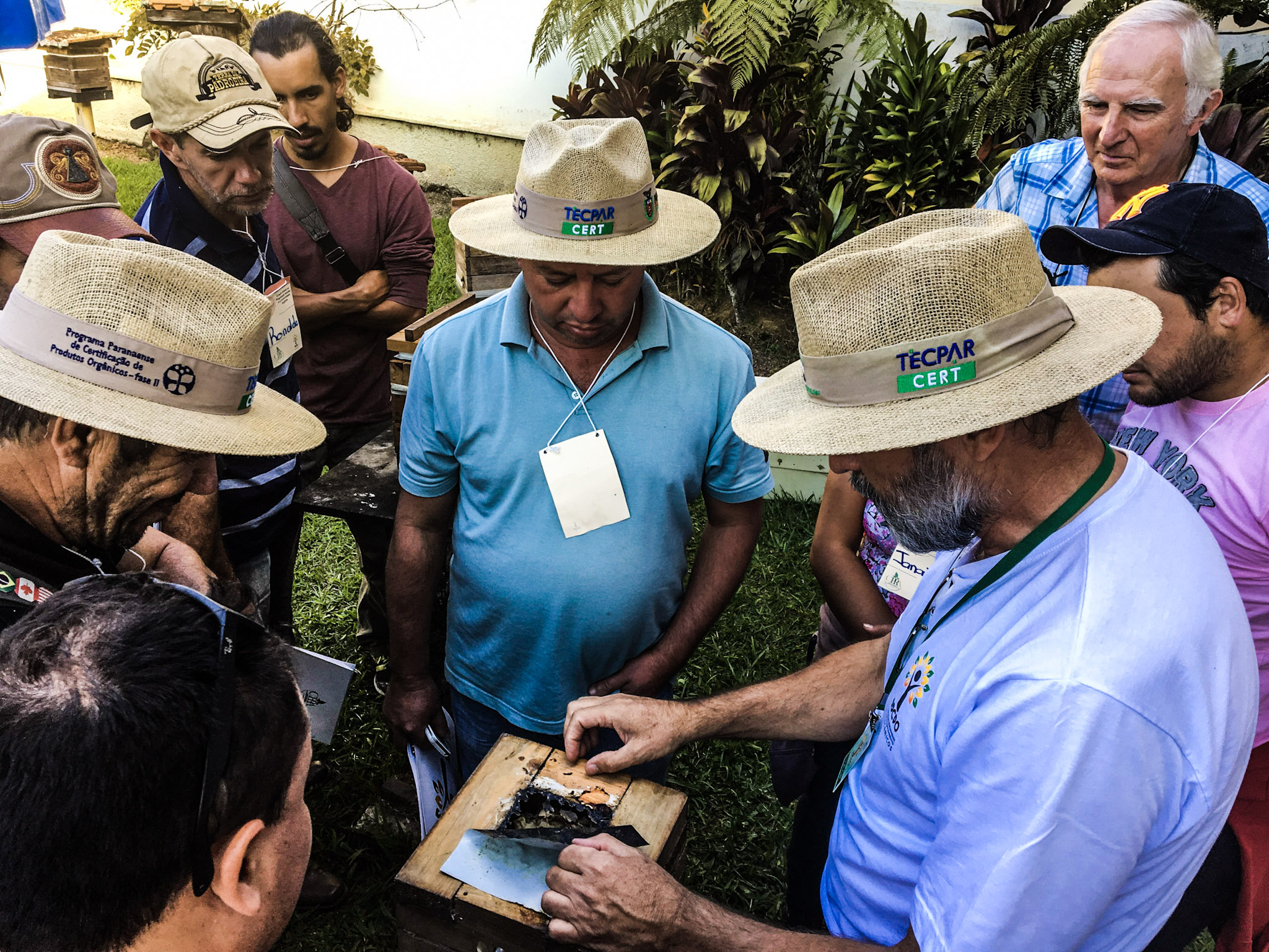 O Centro Paranaense de Referência em Agroecologia (CPRA) vai selecionar quatro bolsistas para atuar no programa Paraná mais Orgânico. As inscrições encerram nesta terça-feira (26), às 7h59, e devem ser feitas por e-mail.