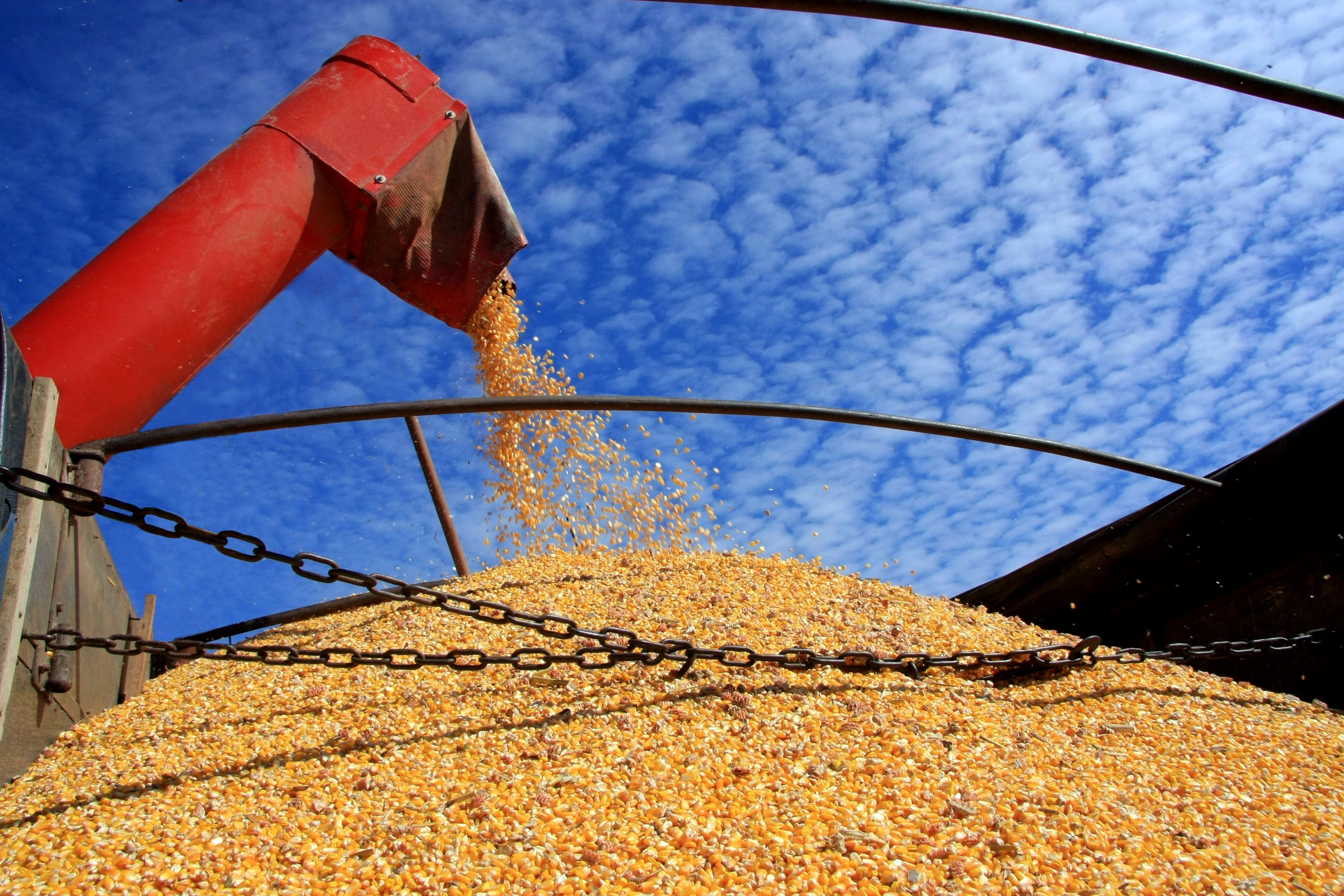 Safra de grãos do Paraná deve atingir 23,3 milhões de toneladas