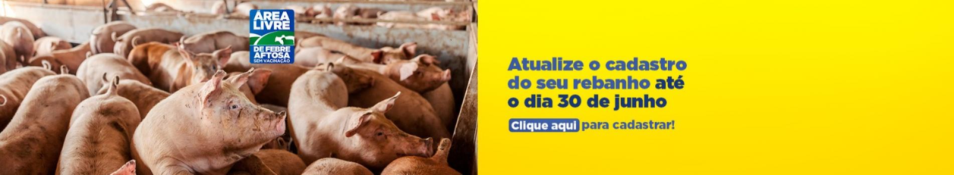campanha atualização de rebanho
