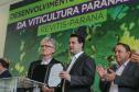 O governador Carlos Massa Ratinho Junior e o secretário da Agricultura e do Abastecimento, Noberto Ortigara, lançaram, no Palácio Iguaçu, o programa Revitis, destinado a estimular a produção de uvas no Paraná.