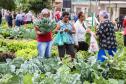 Uberaba ganha unidade do programa Hortas Comunitárias