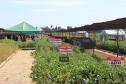 Dia de campo mostra novidades tecnológicas para o agronegócio
