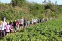 Caminhadas na Natureza terão 160 circuitos no Paraná neste ano