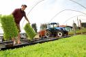 Trator solidário, com implemento agrícola, em uso.